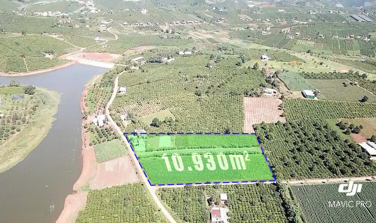 Giảm mạnh 1 tỷ! 1.1Ha Đất Lô góc, Đường 12m – Xã Phúc Thọ LĐ - Ảnh 1
